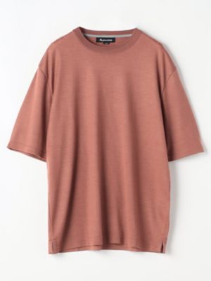 ＴＥＣ．３　ＮＺ　Ｍｅｒｉｎｏ　Ｃｒｅｗ－ｎｅｃｋ（２２０５２７２００１）