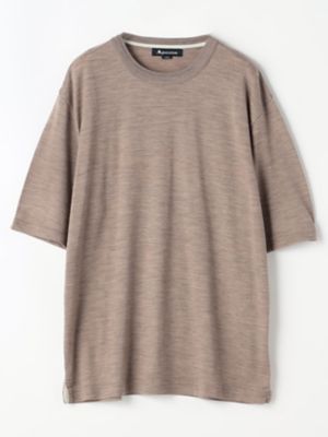 ＴＥＣ．３　ＮＺ　Ｍｅｒｉｎｏ　Ｃｒｅｗ－ｎｅｃｋ（２２０５２７２００１）