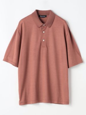 ＴＥＣ．３　ＮＺ　Ｍｅｒｉｎｏ　Ｐｏｌｏ－ｃｏｌｌａｒ（２２０５２７２１０１）