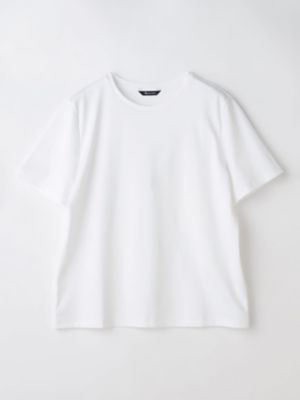 ＜Aquascutum (Women)＞ＡＱスビンスムース半袖Ｔシャツ（５００５４７００６６）