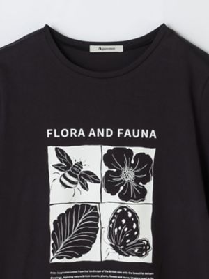 Ｕｃａコラボ　ＢＯＴＡＮＩＣＡＬ　Ｔシャツ（５０２３２７０２１８）