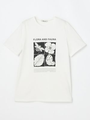 Ｕｃａコラボ　ＢＯＴＡＮＩＣＡＬ　Ｔシャツ（５０２３２７０２１８）