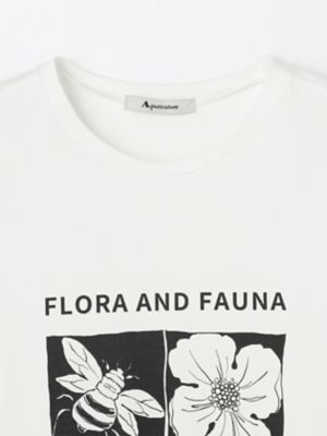 Ｕｃａコラボ　ＢＯＴＡＮＩＣＡＬ　Ｔシャツ（５０２３２７０２１８）