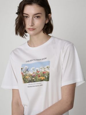 フォトプリントＴシャツ（５０２４２７００１６）