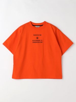 アドレスプリント　Ｔ－ＳＨＩＲＴ（５０２５２７０１１４）