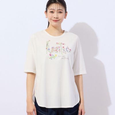 【洗える・日本製】Ａｍｉｔｉｅ　コットンＴシャツ（２１１２２５１１）