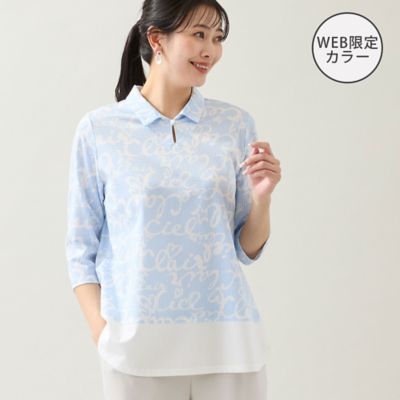 洗える・WEB限定カラーあり・L～4Lサイズ】スキッパートップス