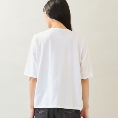 洗える・M～3Lサイズ】レースレイヤードTシャツ（21123676 