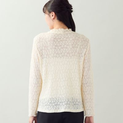 洗える・L～4Lサイズ】ストレッチレースカットソー
