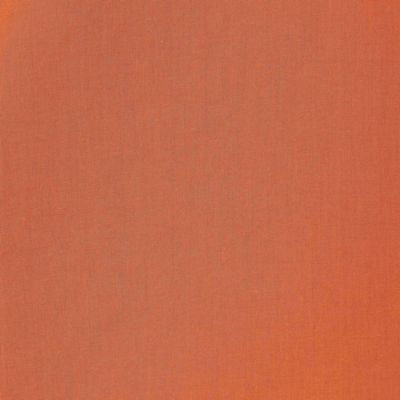 【手洗いＯＫ】ダブルフリルブラウス（５１０３４５１３）