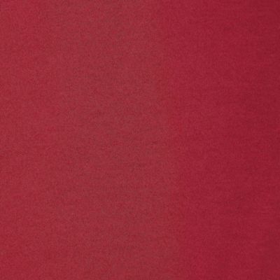 【接触冷感／綿１００％／手洗いＯＫ】フリルカットソー（５１１２４５０８）
