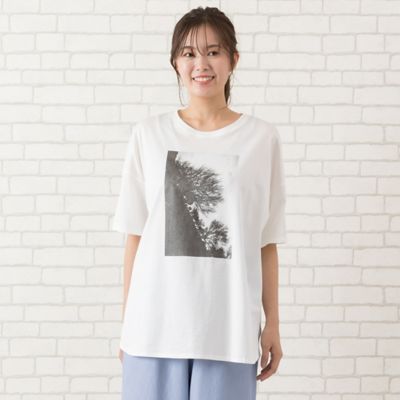 ＜PISANO＞【手洗いＯＫ・綿１００％】顔料＋箔プリントリラックスＴシャツ（５６１２２５０２）