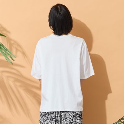 6 roku 美品 ホックテープカットソー 6（ロク）の「＜6(ROKU)＞ネック コード Tシャツ（Tシャツ/カットソー