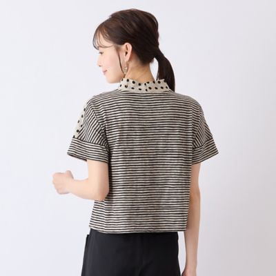 【Ｓ・Ｍサイズ】ウォッシャブル天竺ドット×ボーダーＴシャツ（７３１２３５２５）
