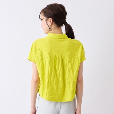 【Ｓ・Ｍサイズ】ウォッシャブル綿ジャカードＴシャツ（７３１２３５５２）