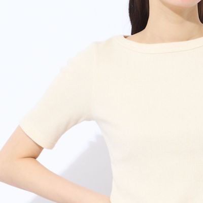 【Ｓ・Ｍサイズ】ラメリブジャージー　半袖Ｔシャツ（７３１２４５５１）