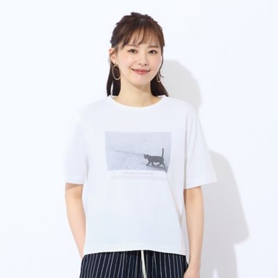 洗える・吸水速乾】綿100％ネコプリントTシャツ（73124565