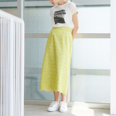 グラフィックＴシャツ（８１１２３４１５）