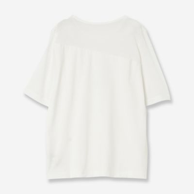 シアートップカットソー（８１１２３４１７）