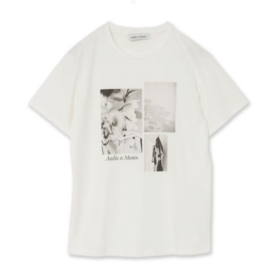 フォトプリントＴシャツ（８３１２３５０２）