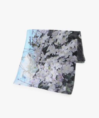 シフォン　シルク　フォトプリント　ロングスカーフ　”Ｓｅｒｉｎｇａｔ”（０２００ＡＰ８０００００）