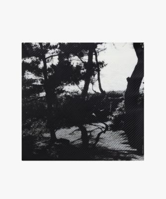 フォトプリント シルク スカーフ ”Denise