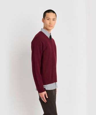 メンズ アルパカ混 Vネック ニット プルオーバー ”Irlande