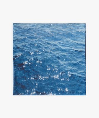 フォトプリント スカーフ（2210AQ060000） | agnes