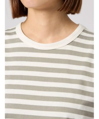 細ボーダー　コットン　半袖Ｔシャツ　”Ｂｒａｎｄｏ”（２６５３Ｊ００８１５９９）