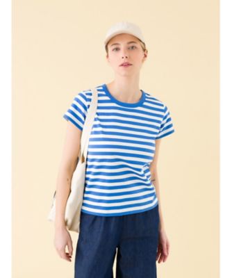 Ｊ００８　ＴＳ　ボーダーＴシャツ（２６５３Ｊ００８２２９１）