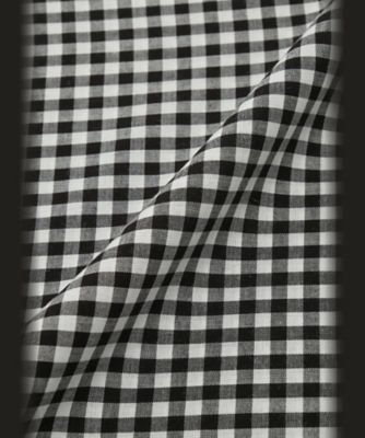 ＷＶ５３　ＦＯＵＬＡＲＤＳ　ヴィシーチェックスカーフ（５９５７ＷＶ５３０００）