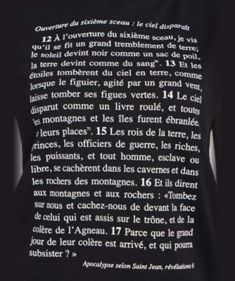 オーガニックコットン　プリント　ノースリーブ　Ｔシャツ　”Ａｐｏｃａｌｙｐｓｅ　ｓｅｌｏｎ　Ｓｔ　Ｊｅａｎ”（Ｅ９３４ＳＲ６８０００）
