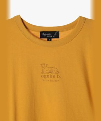 キッズ　ロゴ　コットン　半袖　Ｔシャツ　Ａｇｎｅａｕ（ＥＢＸ７ＳＤＥ７２１０）