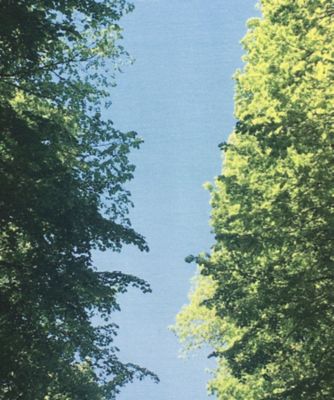 NT74 E ROBE キッズ ワンピース