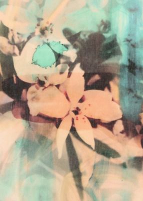 Painted Photograph” スカーフ