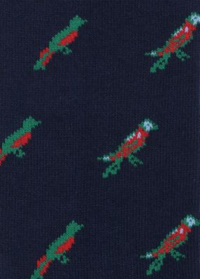 ”Ｌｉｔｔｌｅ　Ｂｉｒｄｓ”　ソックス（２４０６４７ＣＳ）