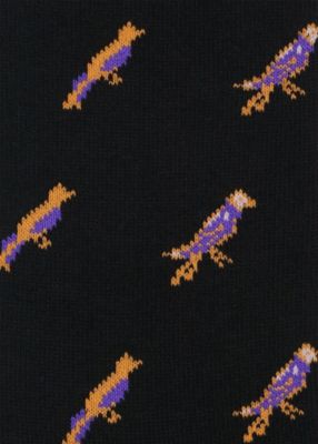 ”Ｌｉｔｔｌｅ　Ｂｉｒｄｓ”　ソックス（２４０６４７ＣＳ）