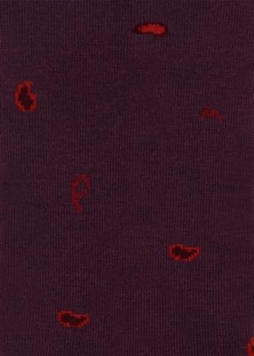 ”Ｐａｉｓｌｅｙ　Ｌｅｔｔｅｒｓ”　ショート　ソックス（２５０６４５ＳＮ）