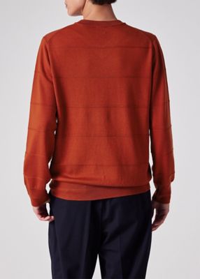 トーナルボーダー Vネックニット（253405553Z） | Paul