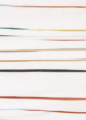 ウィメンズ　”Ｓｉｇｎａｔｕｒｅ　Ｐｉｎｓｔｒｉｐｅ”　半袖Ｔシャツ（２５５１０３３２９Ｖ）