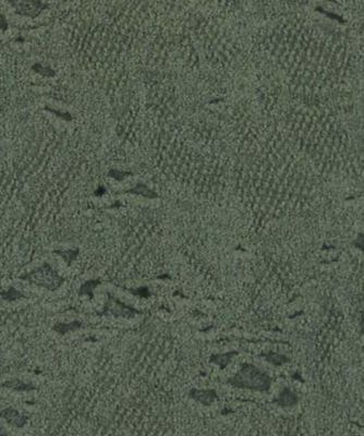 ＳＥＲＥＮＡ　ＣＯＬＬＡＮＴ　１１３３５８