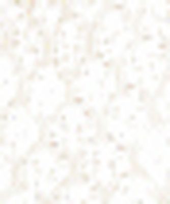 ＡＰＲＩＣＯＴ　ＣＡＬＺＩＮＯ　１１３７１９