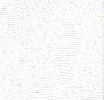 ソックス　ＣＨＥＭＩＳＩＥＲ２０　ＣＡＬＺＩＮＯ　１１３８０４