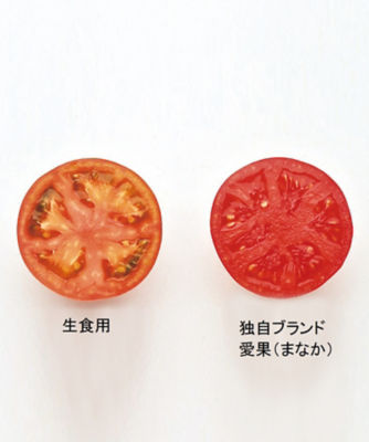 ９０１３０ ＜ナガノトマト＞信州生まれのトマトジュース ３０缶 