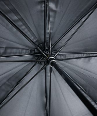 美品 アナスイ ANNASUI オーロラ1段 日傘 晴雨兼用 花フリル 刺繍