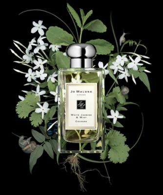 Jo Malone ホワイト ジャスミン ＆ ミント コロン定価税込￥21340