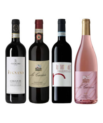 ７３．イタリアワイン銘醸地「トスカーナ・サンジョヴェーゼ」飲みくらべ赤・ロゼワイン４本セット