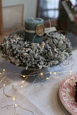 202510kyanndorushirubarisu