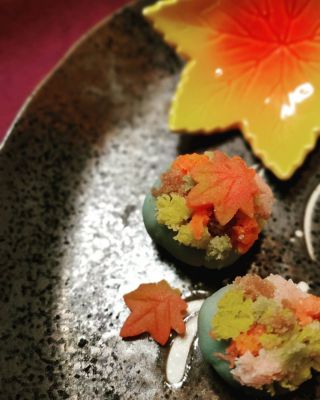 202510tamaki_akinoocha