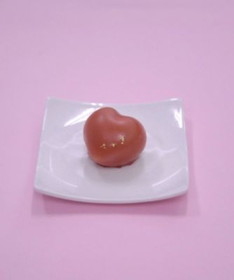 ATELIER F あやめ モールド （Axis Dental presents its new Pure Pen 